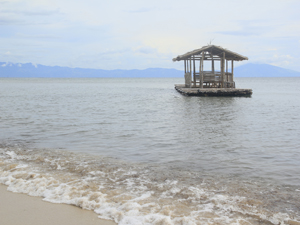 Balsa Cottage